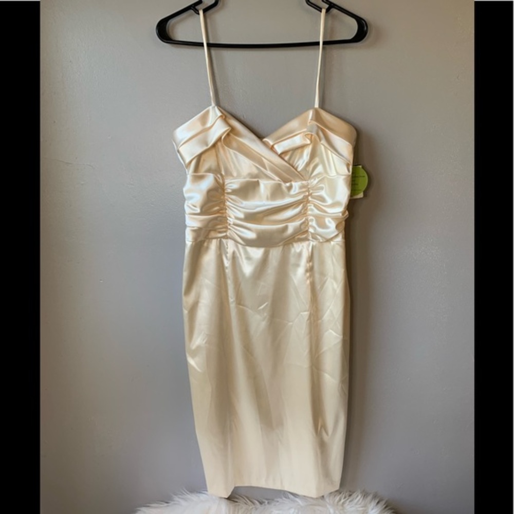 Windsor NWT Sleeveless MIDI Dress